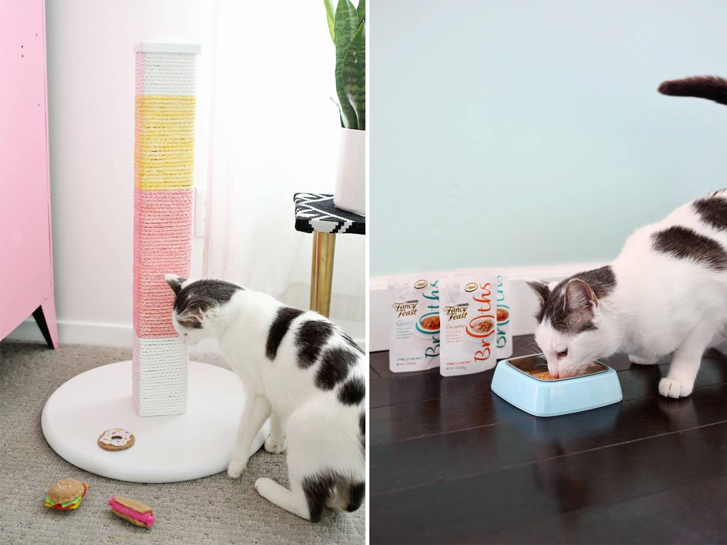 Когтеточка для кошек своими руками: основной способ уберечь поверхности в доме