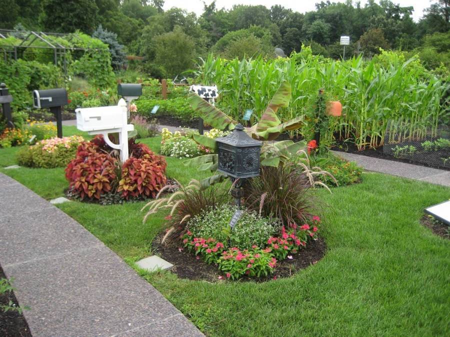 Клумбы во дворе частного дома: фото оригинальных идей