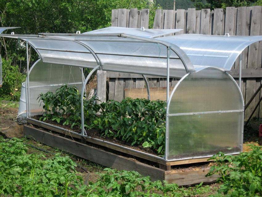 Парник для огурцов своими руками: фото лучших решений для дачного участка