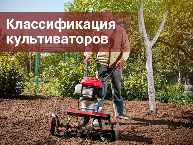 Рейтинг  культиваторов от ichip.ru: лучшие модели для дома | ichip.ru