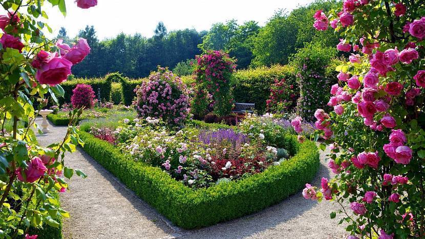 Клумба своими руками: изготавливаем на даче из подручных материалов и подбираем цветы