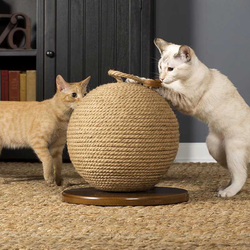 Когтеточка для кошек своими руками: основной способ уберечь поверхности в доме