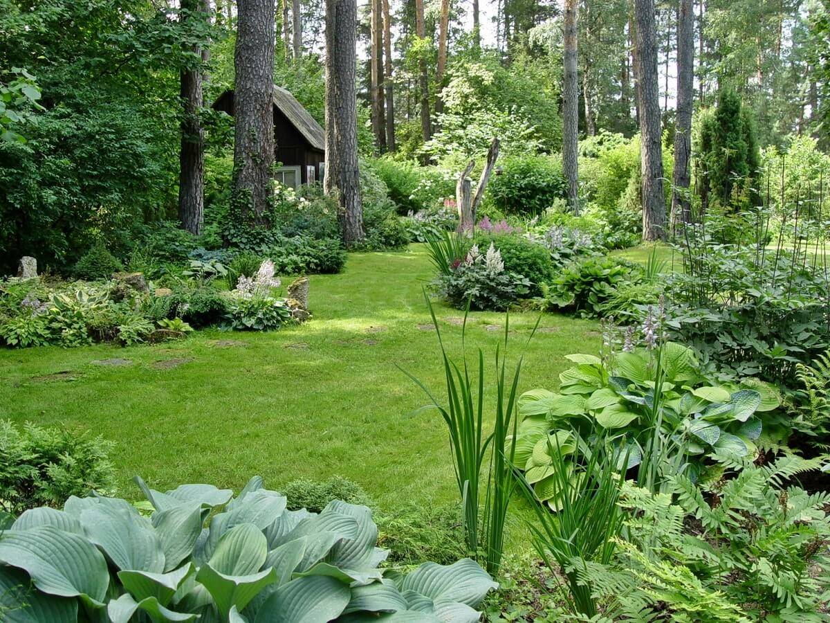 Экостиль в интерьере дома и квартиры: объятья природы в царстве урбанизации