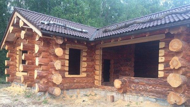 Как выбрать древесину для постройки дома: какая порода лучше