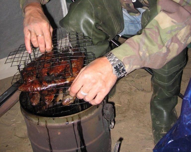 Коптильня холодного копчения своими руками пошаговая инструкция