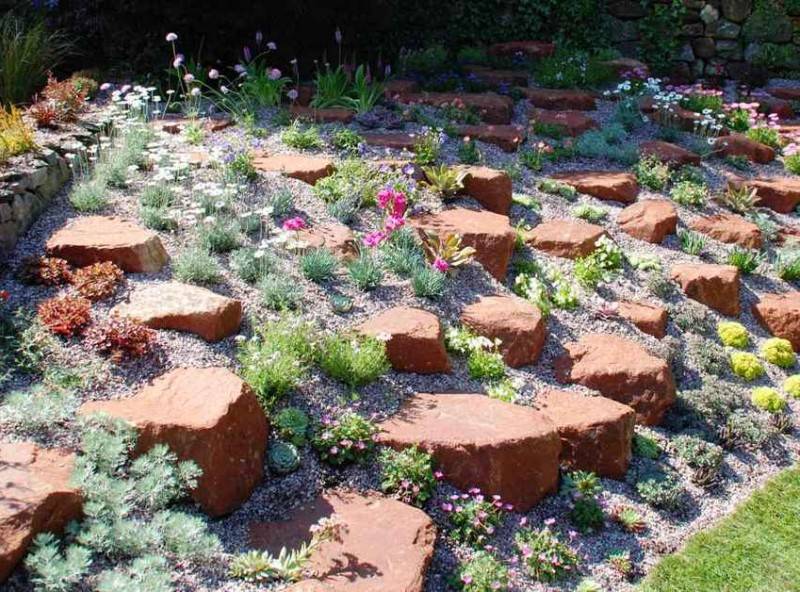Альпийская горка с камнями на даче своими руками: фото рокариев с пошаговой инструкцией