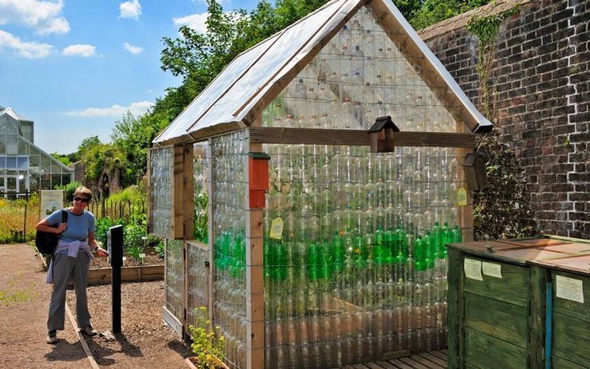 Парник для огурцов своими руками: фото лучших решений для дачного участка