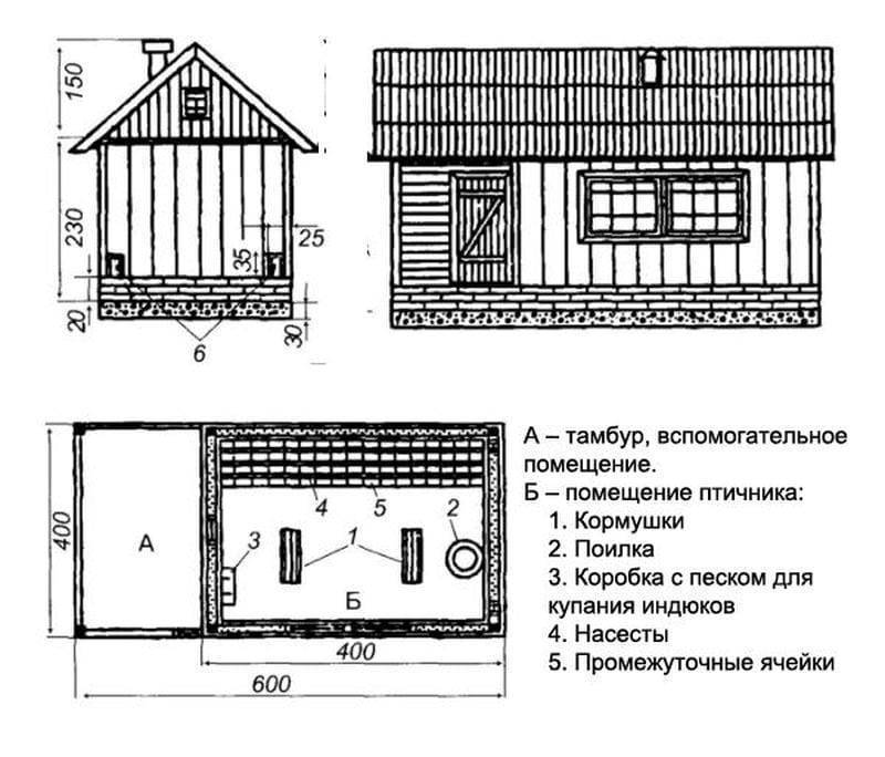 Как построить хороший курятник на 20, 30, 100 кур: объясняем все нюансы