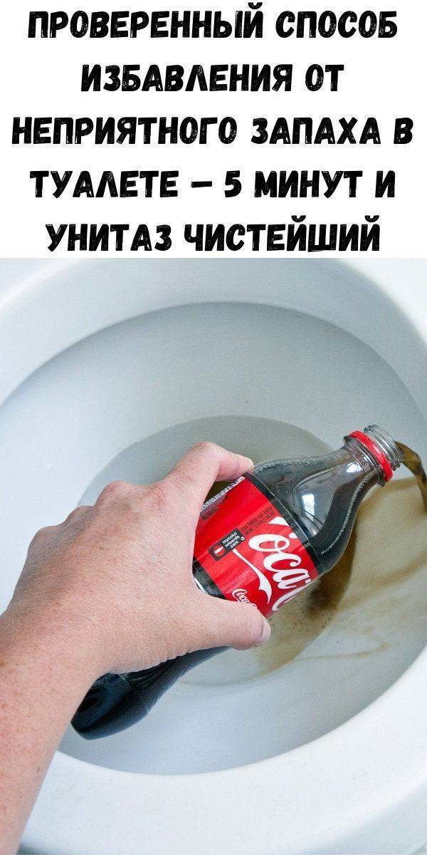 Причины появления запаха канализации в туалете и способы его устранения