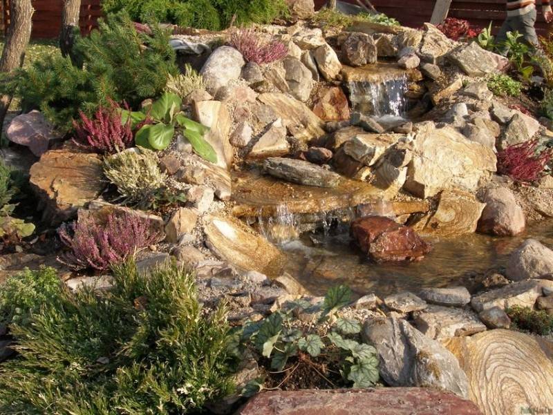 Альпийская горка с камнями на даче своими руками: фото рокариев с пошаговой инструкцией
