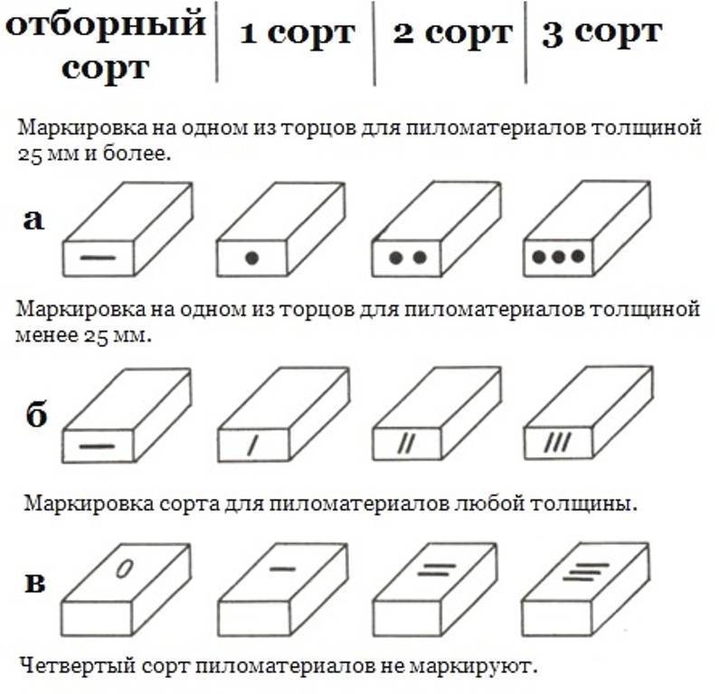 Как выбрать древесину для постройки дома: какая порода лучше