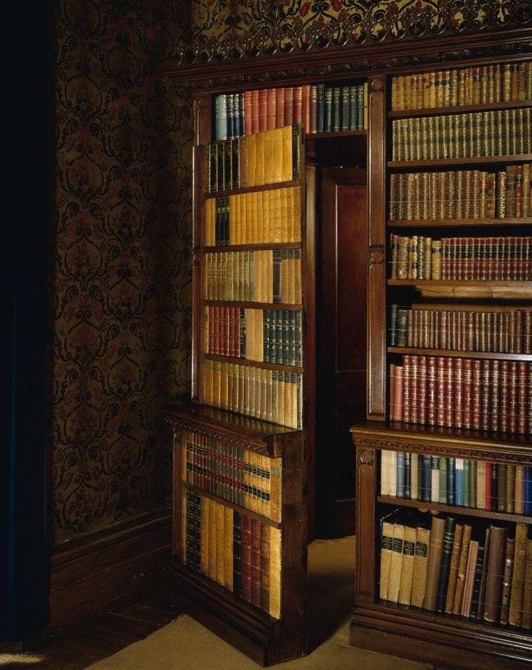 Варианты книжных шкафов со стеклянными дверями, и их особенности