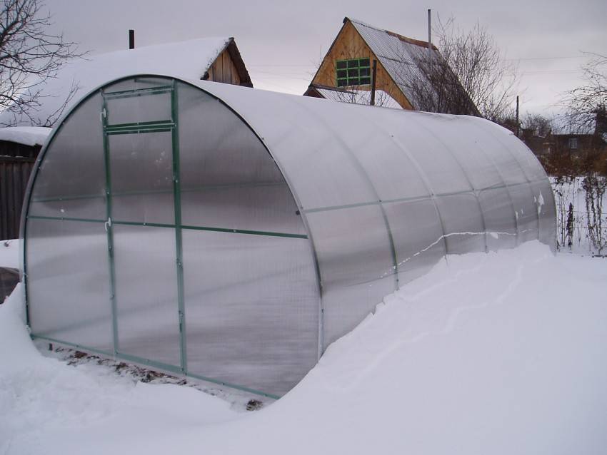 Парник для огурцов своими руками: фото лучших решений для дачного участка