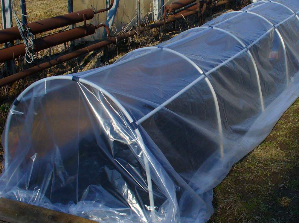 Парник для огурцов своими руками: фото лучших решений для дачного участка