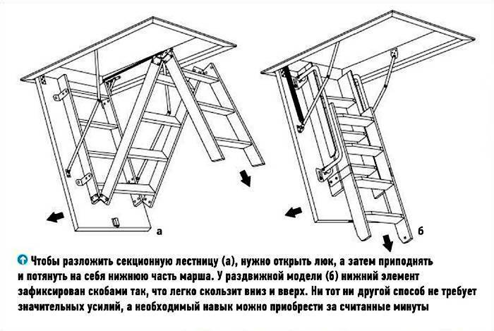 Лестница на чердак: самостоятельная сборка чердачной лестницы своими руками с люком