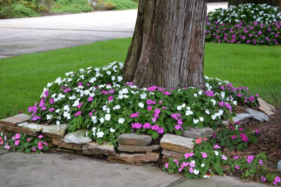 Клумба своими руками: изготавливаем на даче из подручных материалов и подбираем цветы