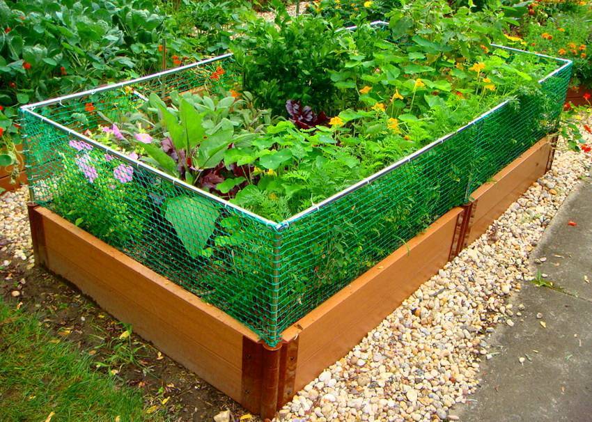 Грядки из пластиковой доски: классификация изделий и их особенности