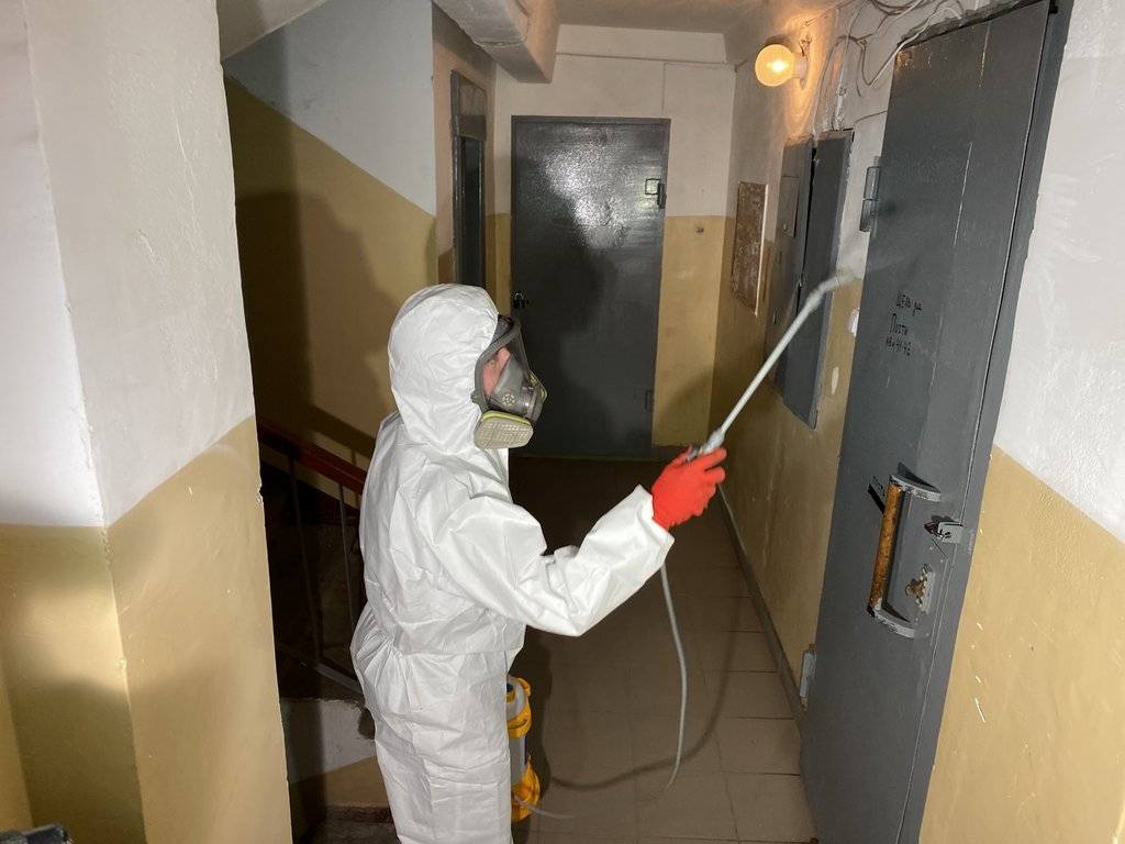 Стало известно, как часто должны дезинфицировать подъезды жилых домов