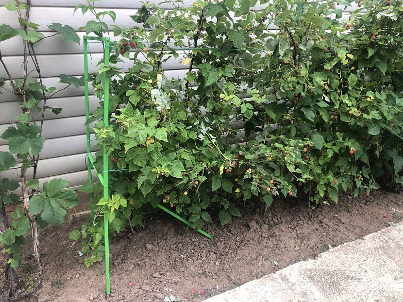 Деревянная садовая решётка (шпалера) своими руками: пошаговая фото инструкция с пояснениями