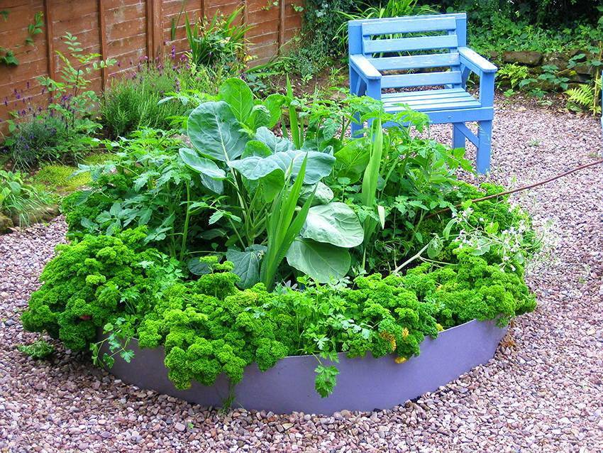 Грядки из пластиковой доски: классификация изделий и их особенности