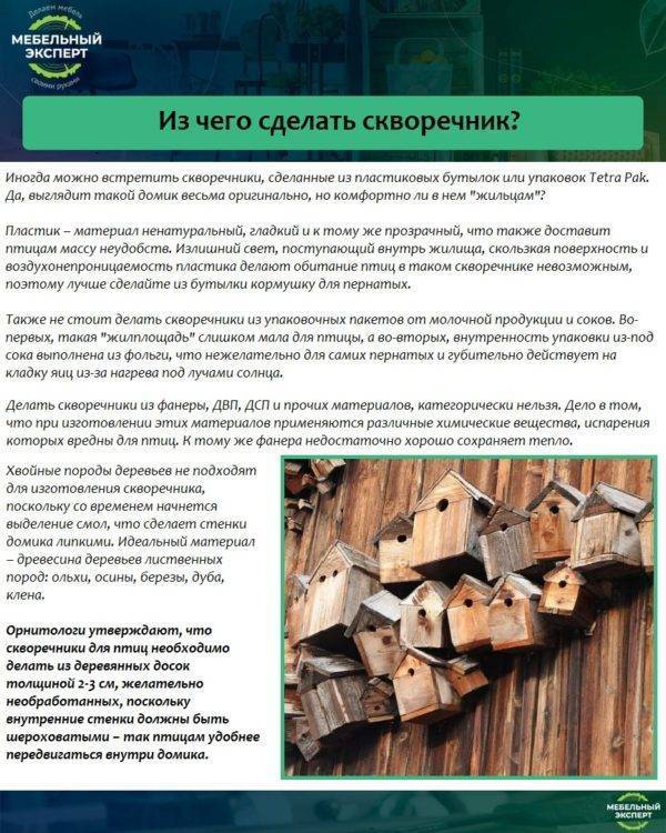 Скворечник: размеры, чертеж и рекомендации по созданию птичьего жилья