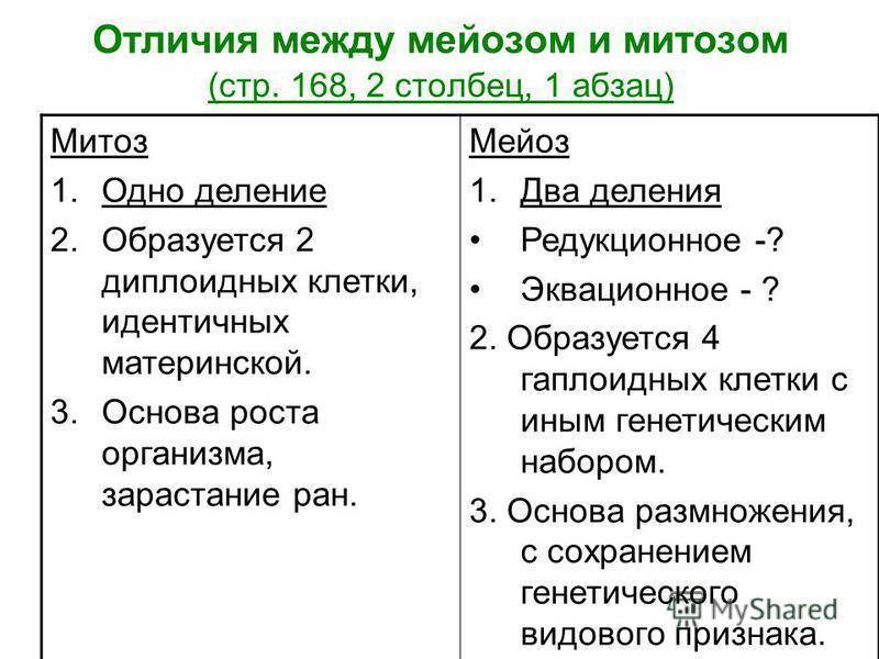 20 лучших встраиваемых холодильников в рейтинге 2021 года
